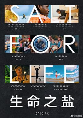 生命之盐封面图
