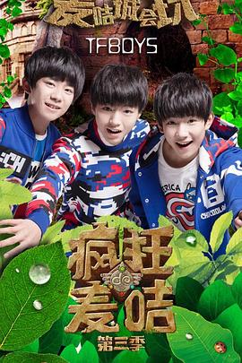 疯狂的麦咭 第三季封面图