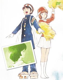 阳光普照封面图