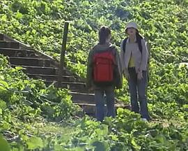 厨房大战封面图