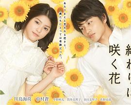 开到世界尽头的花封面图