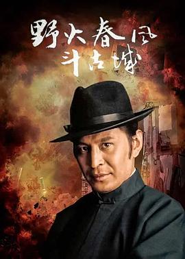 野火春风斗古城封面图