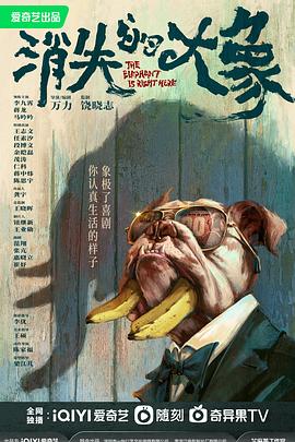 消失的大象封面图