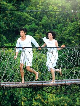 菊皇茶语封面图