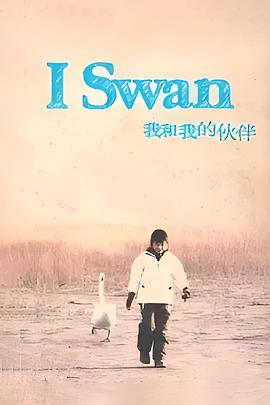 我和我的伙伴封面图