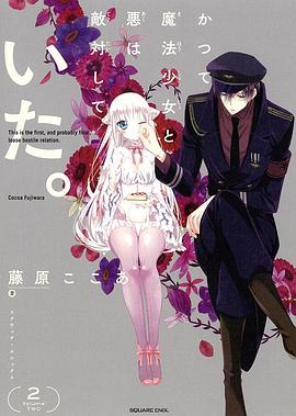 魔法少女与恶曾是敌人。封面图