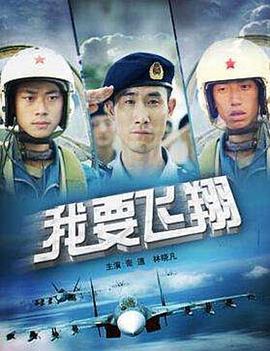 我要飞翔封面图
