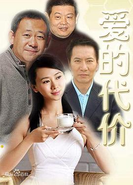 爱的代价封面图