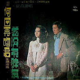 何日再吻君封面图