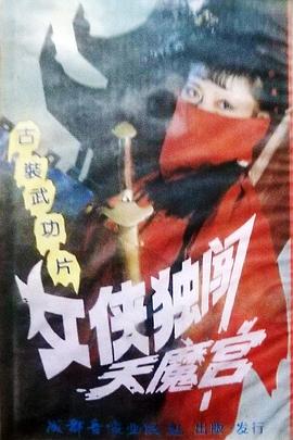 女侠独闯天魔宫封面图