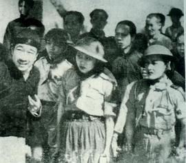 血溅宝山城封面图