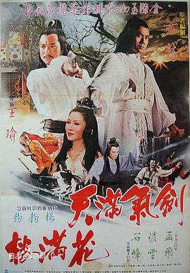 剑气满天花满楼封面图