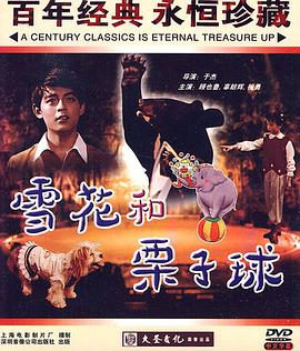 雪花和栗子球封面图