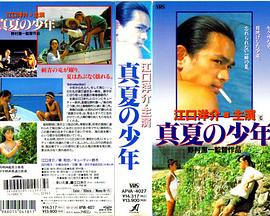盛夏的少年封面图