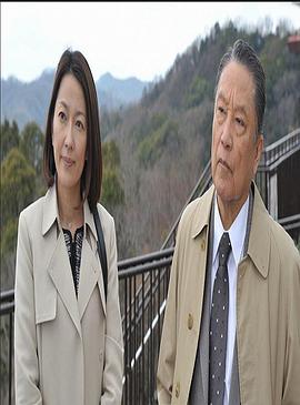 奇怪的刑事11封面图