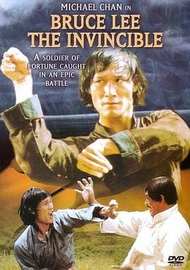 威震天南封面图