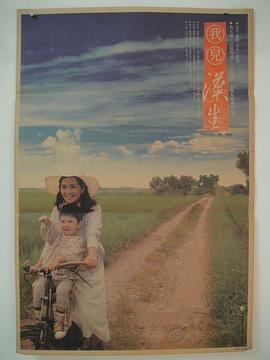 我儿汉生封面图