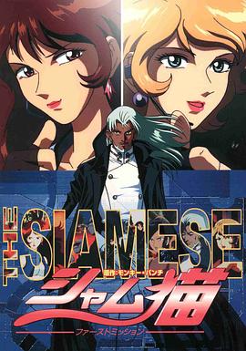 暹罗猫 首次任务封面图