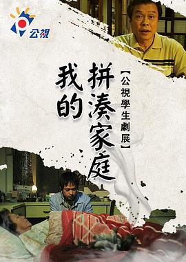 我的拼凑家庭封面图
