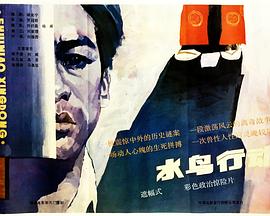 水鸟行动封面图