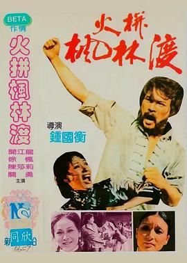 火拼枫林渡封面图