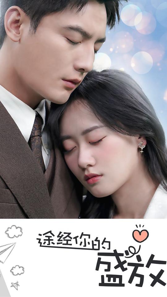 途经你的盛放封面图