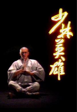 少林英雄封面图