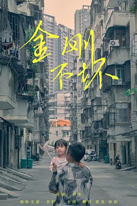 金刚不坏封面图