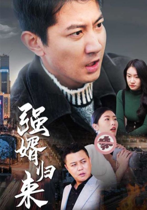 强婿归来封面图