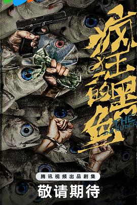 疯狂的黑鱼封面图