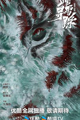 踏雪寻踪封面图