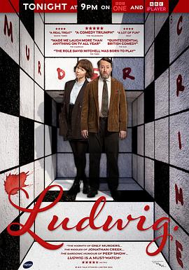 谜探路德维希 第一季封面图