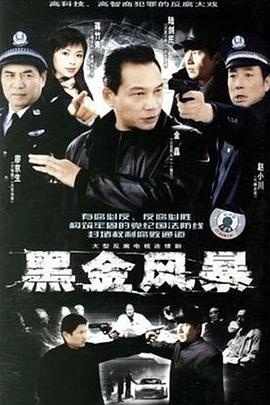 黑金风暴封面图