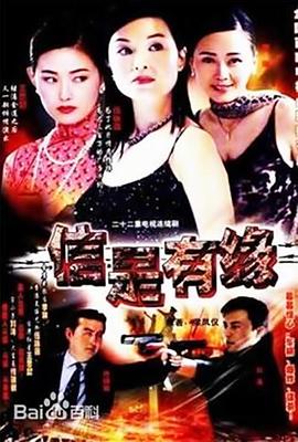 信是有缘封面图