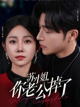 苏小姐你老公掉了封面图